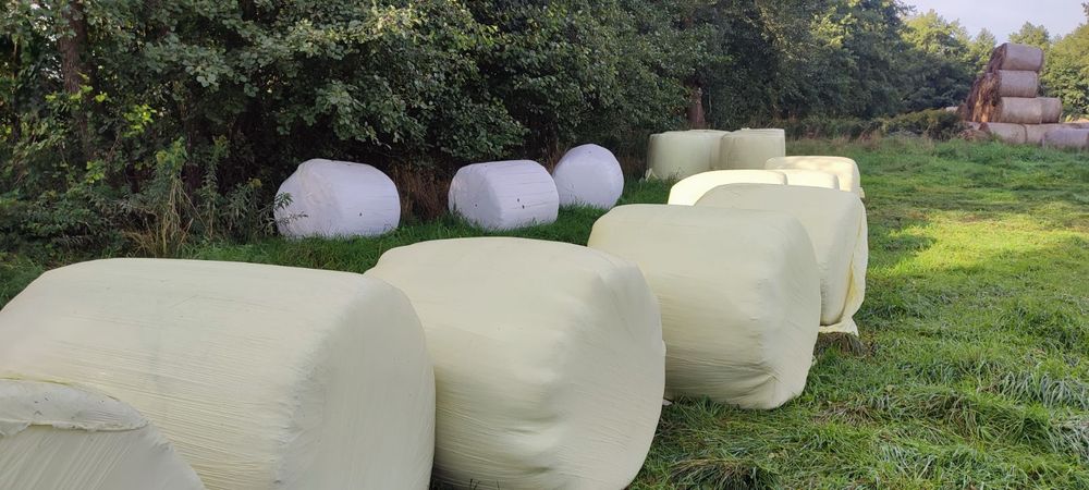 Sianokiszonka z żyta 120