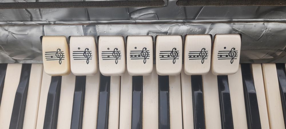 Akordeon Marinucci Musette 120 basów 4 chóry