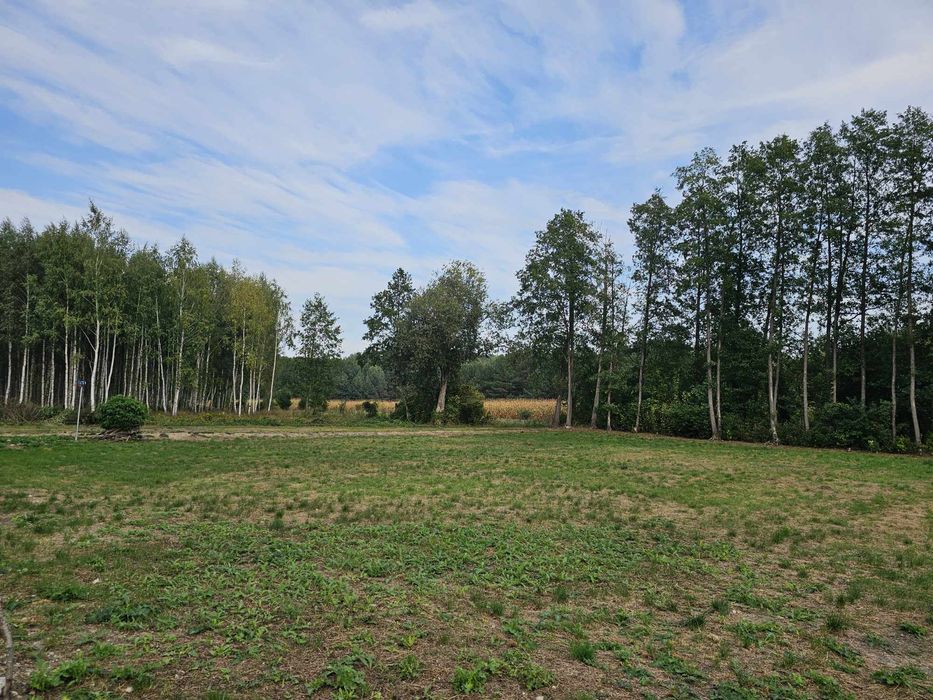 Na sprzedaż działka budowlana w Nieckach