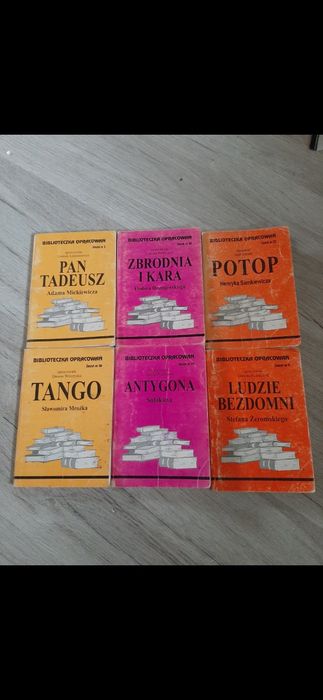 Mini książki - streszczenia lektur