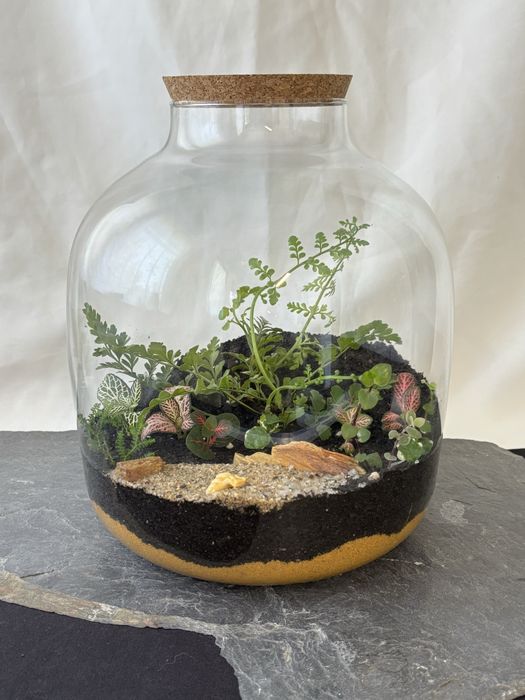 Terrários fechados