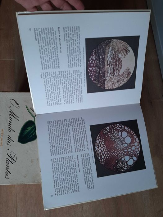 Enciclopédia  de 8 Volumes  "O mundo das plantas" da Verbo Juvenil