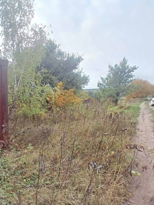 Ціна - подарунок за 6.5 соток під Києвом / с. Петрушки