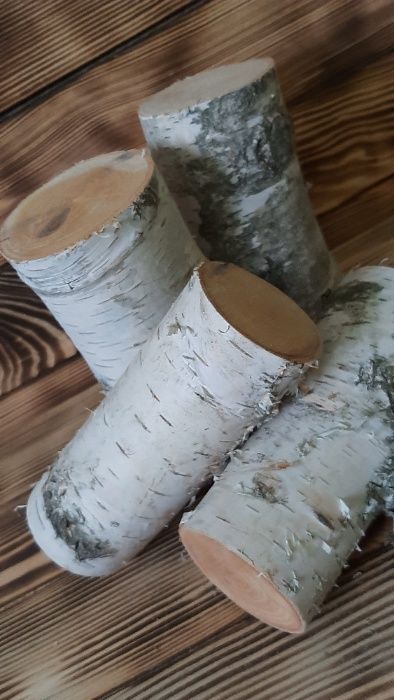 Drewniane pieńki,plastry z brzozy dekoracje zestaw