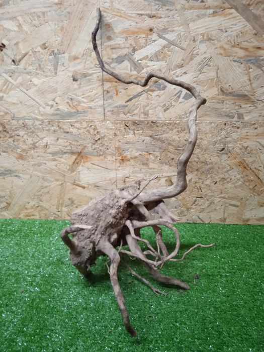 Korzeń do akwarium Red Moore Wood nr 405 o wymiarach 53/20/23