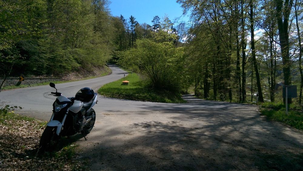 Hornet CB600F Hornet (ABS) 2011