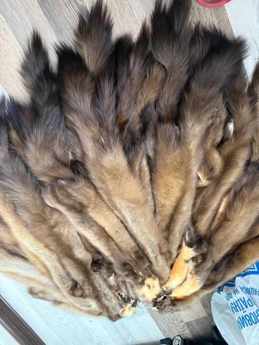 Продам вичинену куницю куниця вичинка Харків куница мех шкуры