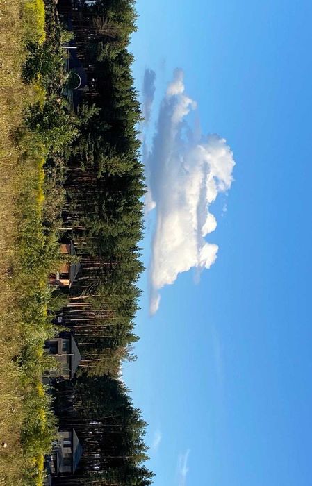 С.Ходосівка, вул.Садова, продаж ділянки 12 сот.