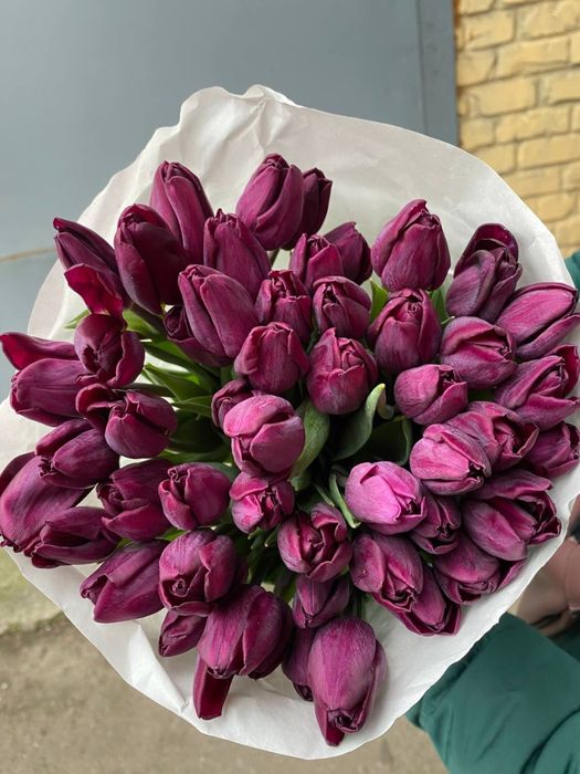 ХІТ! Український тюльпан / гурт опт / від 30 грн / висота до 50 см