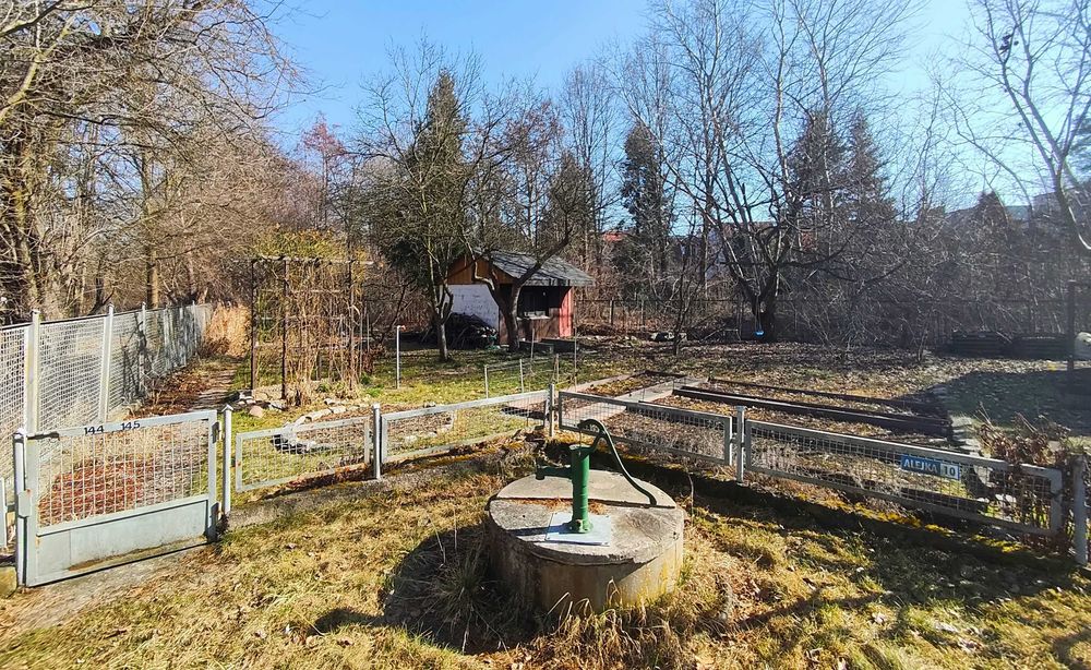 Jedna lub dwie sąsiadujące działki na ROD Wiarus (Ołtaszyn/Partynice)