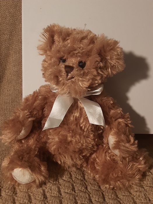 Miś Bukowski - nowy