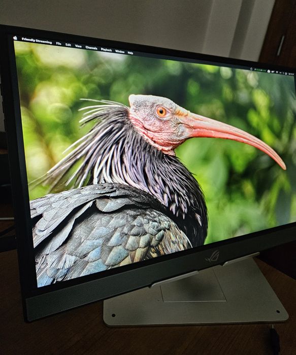 Monitor Portátil ASUS ROG XG17AHPE 17.3'' - Gaming em Qualquer Lugar!