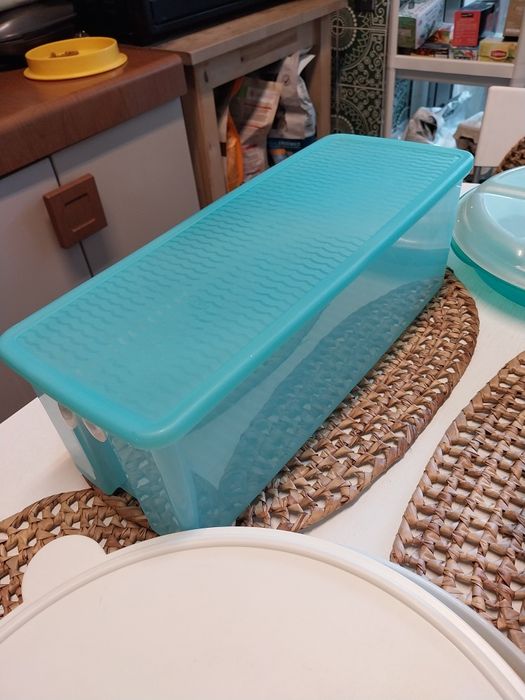 Uma caixa Tupperwre's retangular  com respiradores