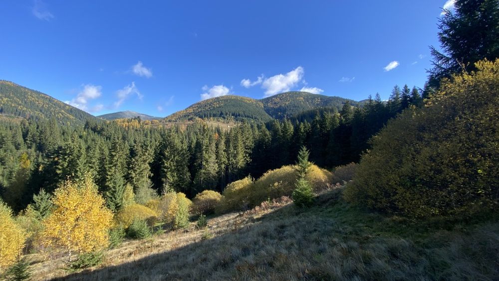Земля під будову, межує з лісом, гарний доїзд