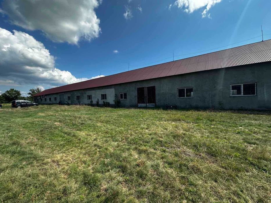 Здається в оренду комерційне приміщення в с. Рокосово