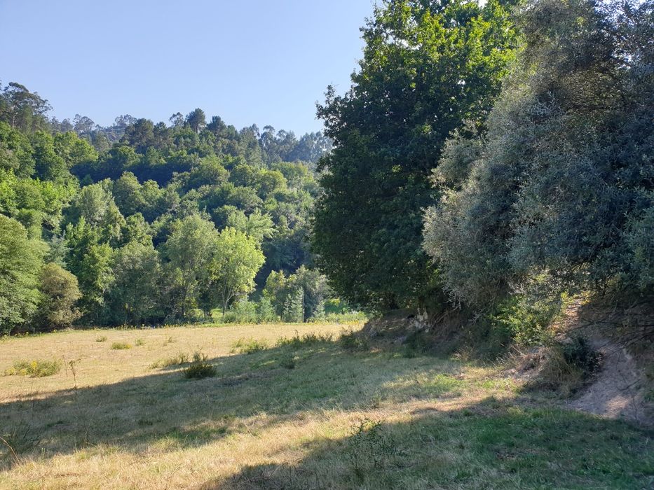 Campo com duas leiras encostado ao afluente do rio Ave