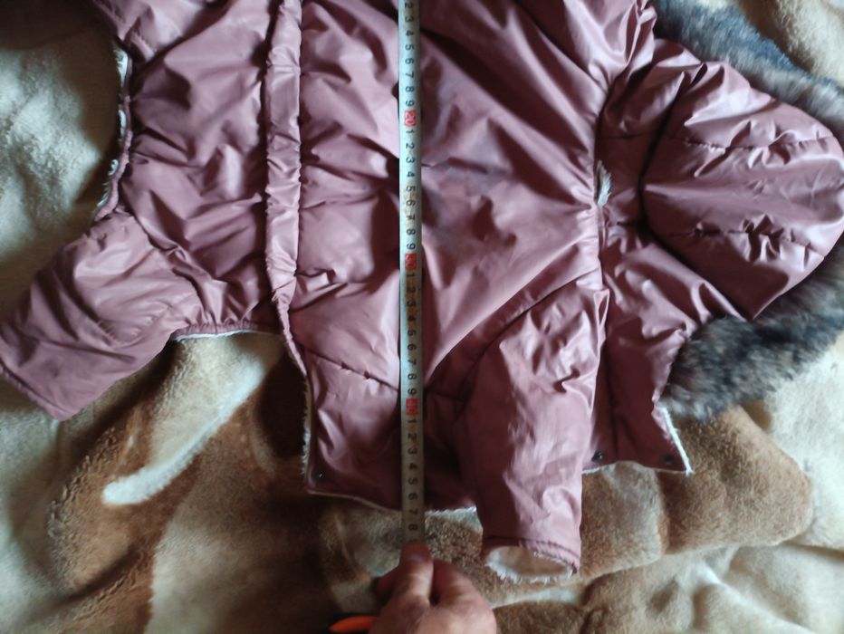 2 костюма на собаку мини или xs и одежда на зиму  зима