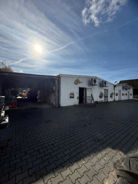 680m2 HALA / magazyn produkcja  chłodnia biuro BEZPOŚREDNIO