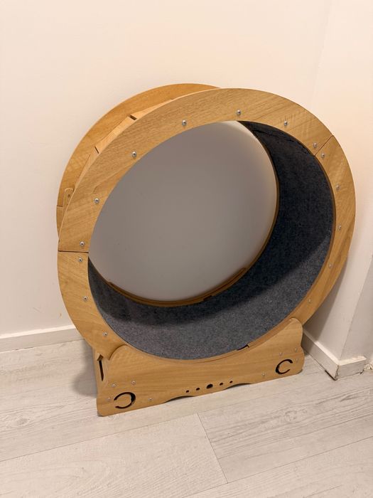 Roda de exercício para gatos