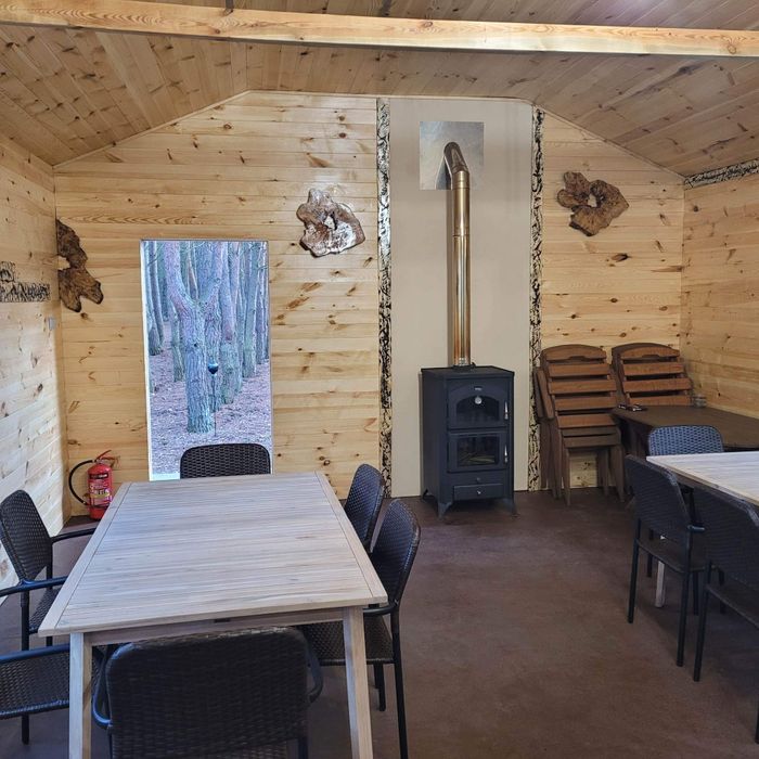 Domki z sauną  w lesie