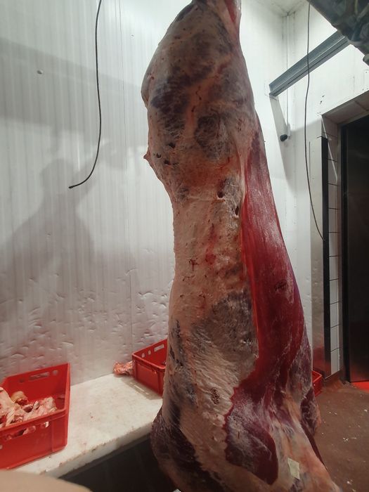 Mięso wołowe z własnego gospodarstwa dostępna 9 lutego