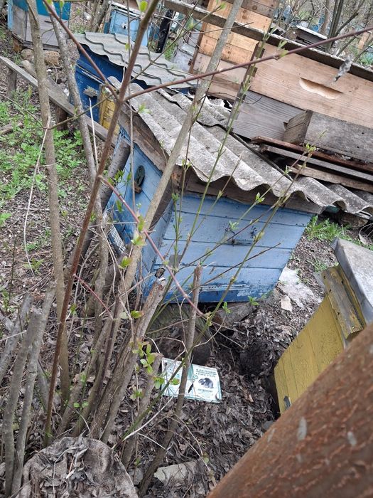 Продам ульи лежаки