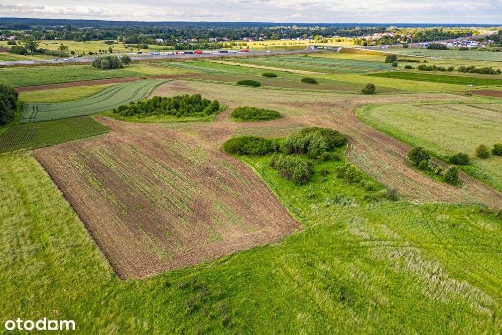 Działka 57 arów – idealna pod Krus – Palikówka - Widok 6