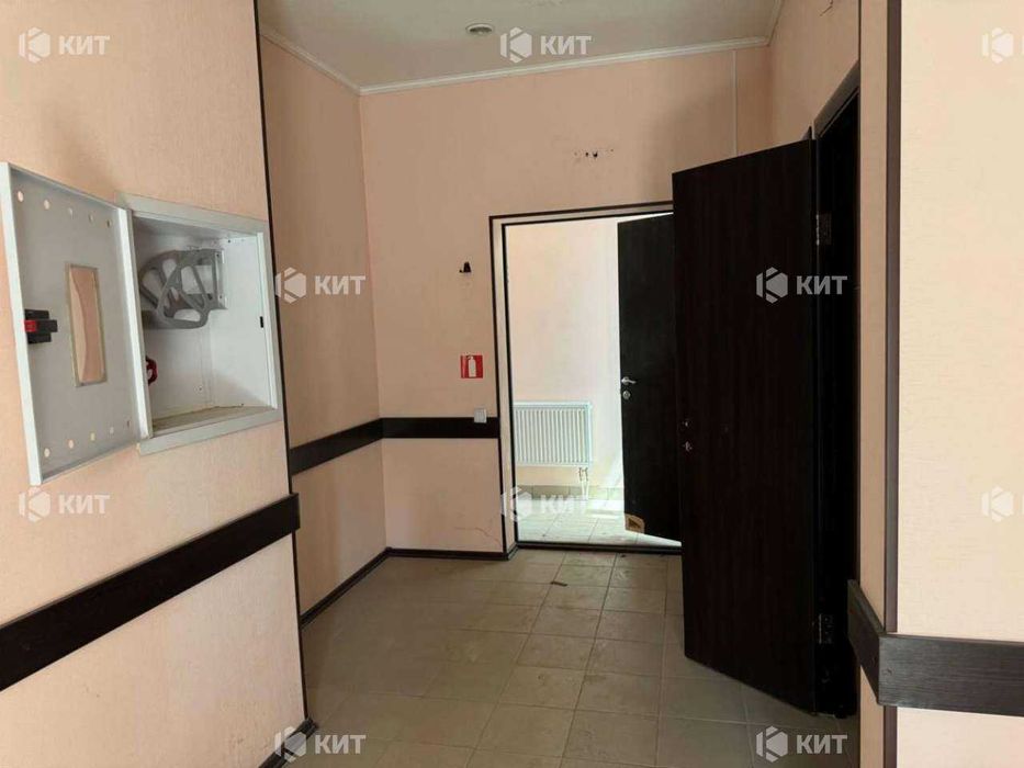Аренда помещения на пр. Науки, м. 23 Августа, 380 м2,128556