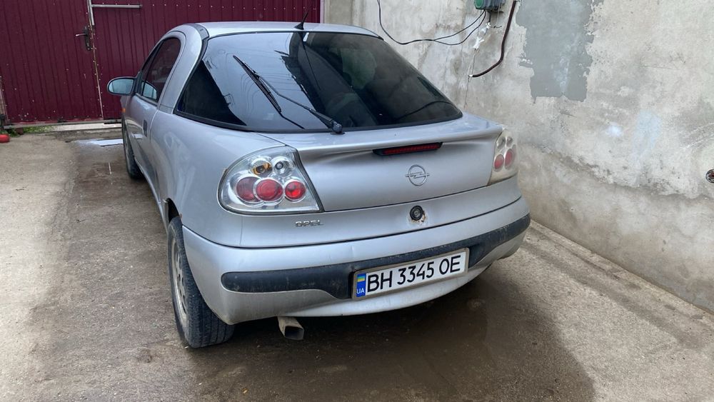 Тигра ищет хозяина