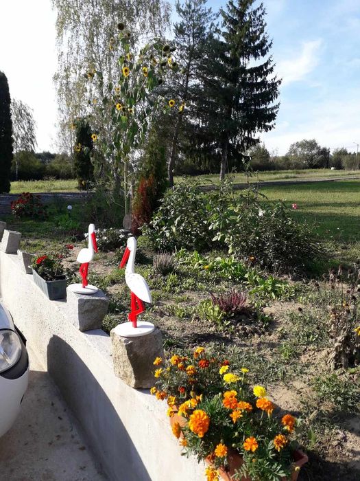 Agroturystyka Tanie Noclegi 39-230 Brzostek