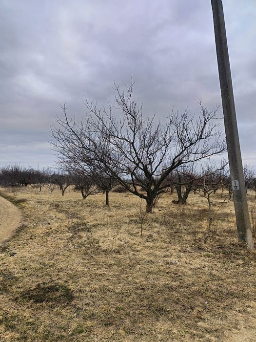 Продаж земельної ділянки Мачехи