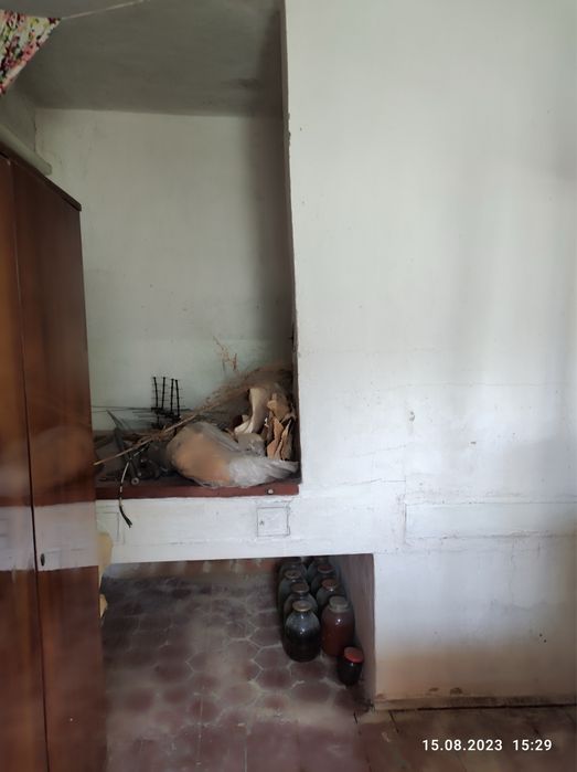 Будинок з твердопаливним і газовим опаленням, 70 сот чорнозему, документи готові,с. Бакай