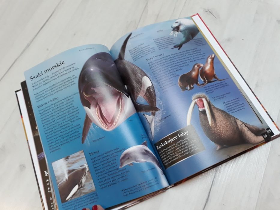 Encyklopedia ilustrowana swiat wiedzy w twoich rekach