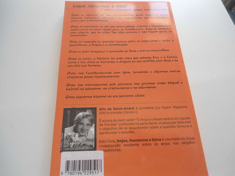 Anjos demónios e Djins por Alix de Saint André