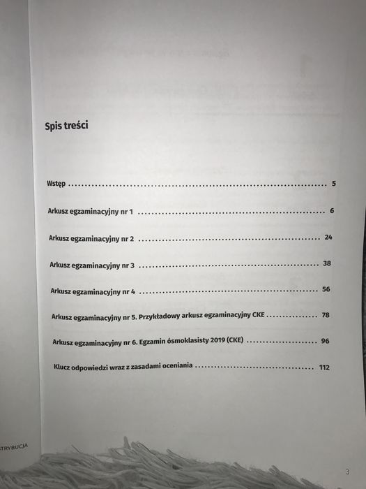 Repetytorium z j.polskiego oraz arkusze egzaminacyjne z matematyki.