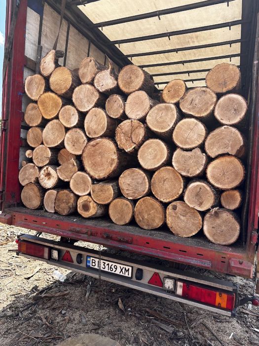 Дрова твердые породы дуб граб акация