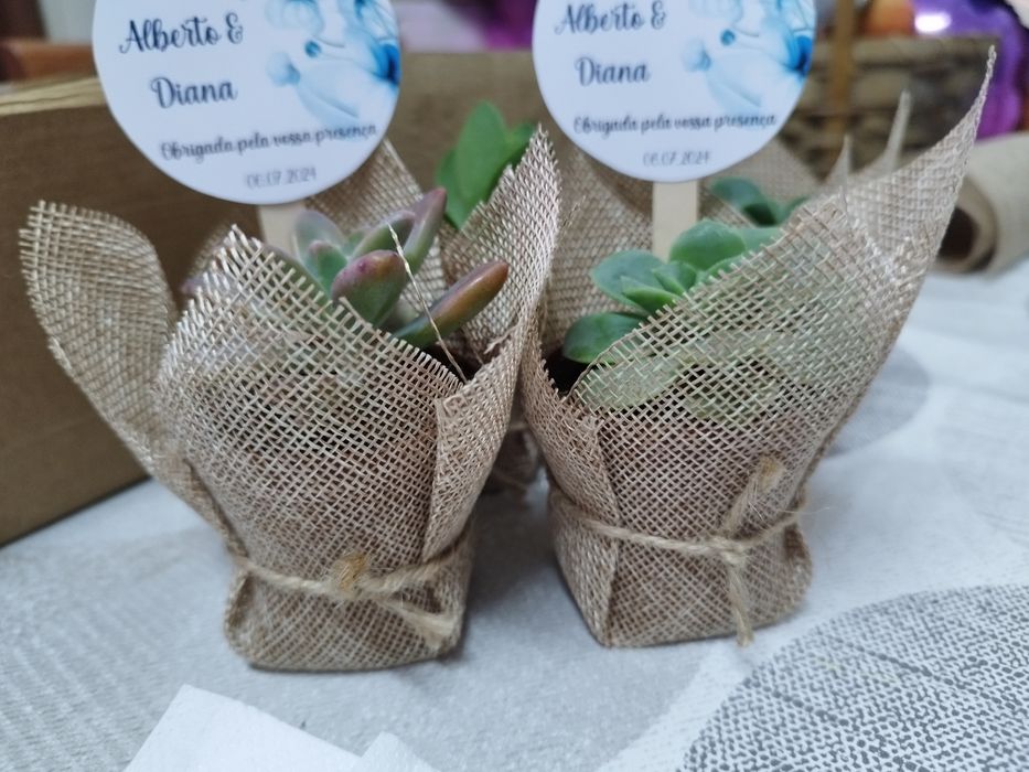 Suculentas personalizadas