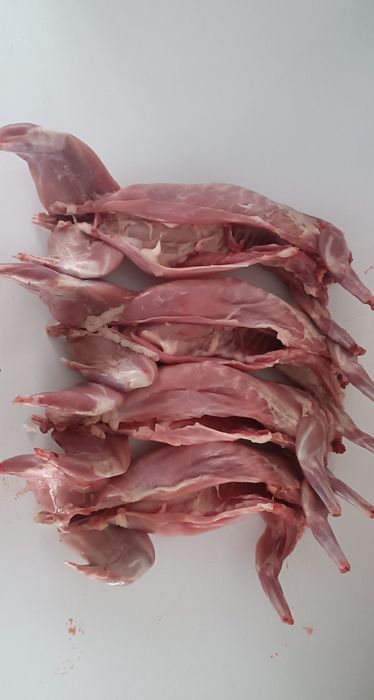 Кролики, м'ясо кролика