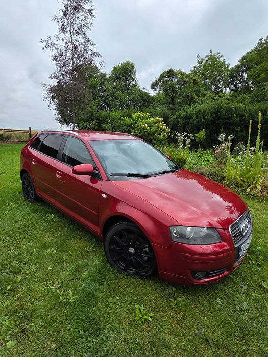 Audi A3 8P Quattro