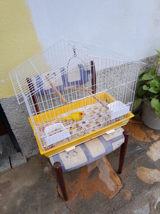 Kakarikis Mais Gaiola