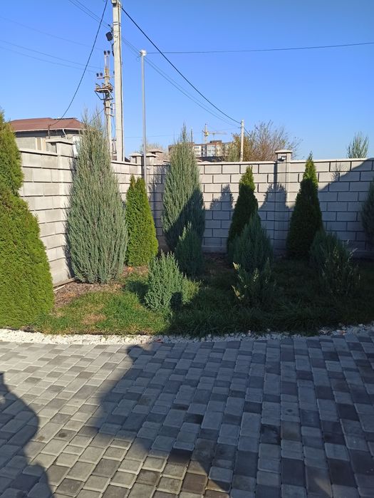 Продам новый дом в Фонтанке