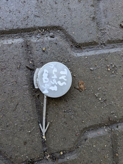 Zaślepka zderzaka opel corsa d z157