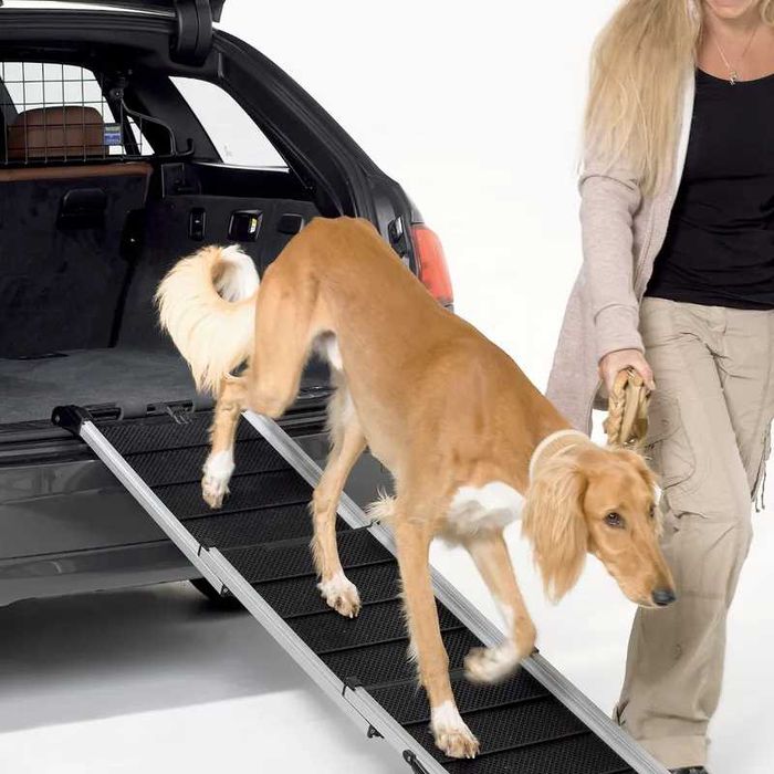 Rampa dla psa Kleinmetall dogwalk3 XL