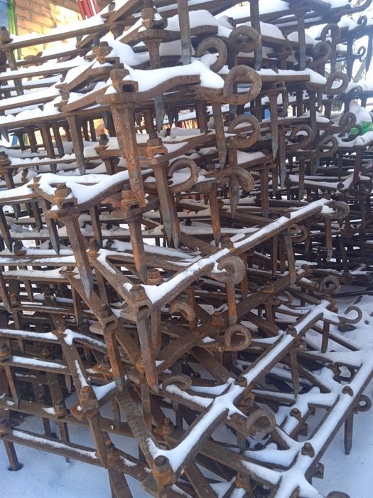 Борона зубова   .