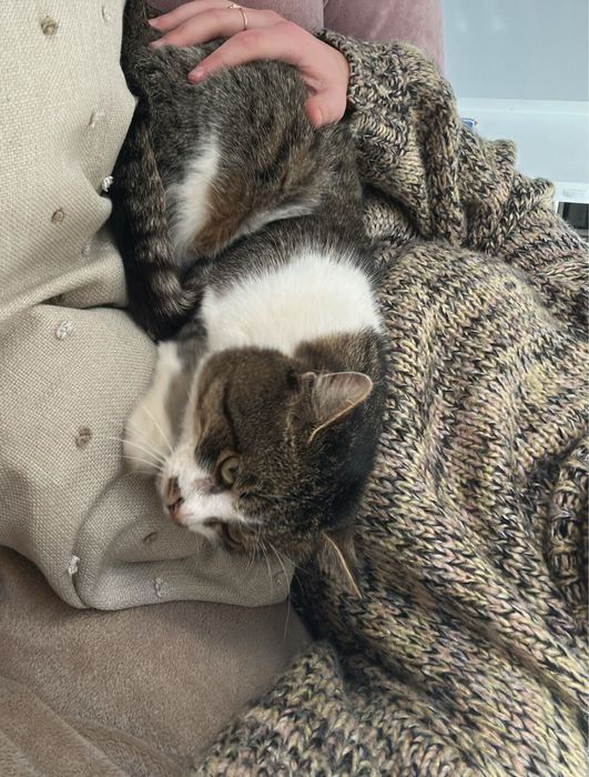 Светр з високим горлом вʼязаний NAKD