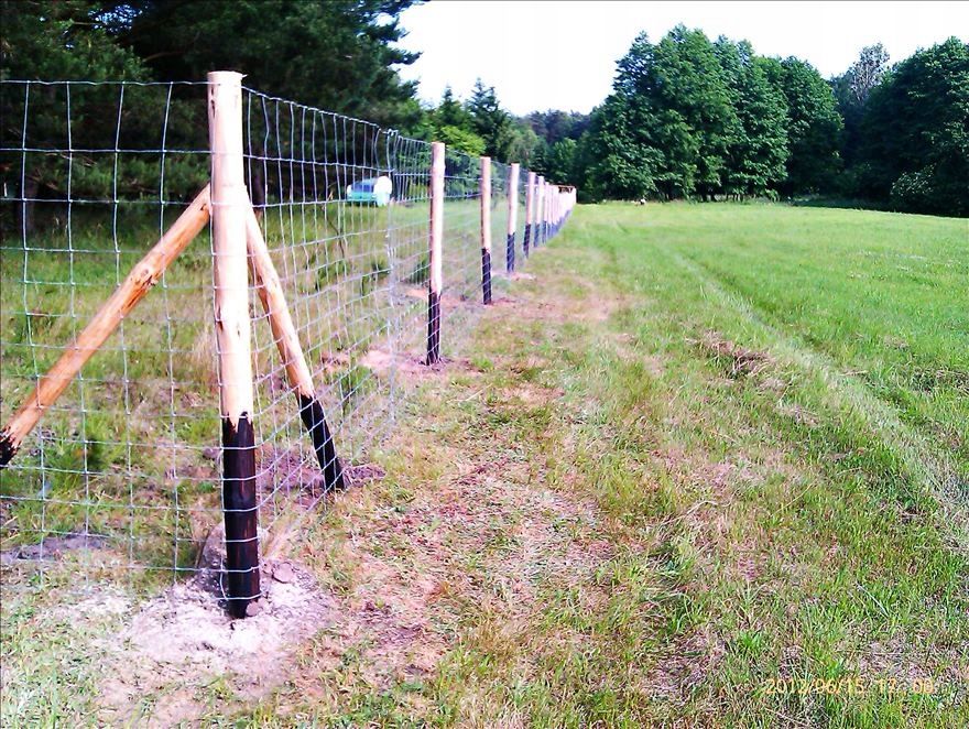 Ogrodzenie tymczasowe z siatki leśnej, budowlane, hodowla