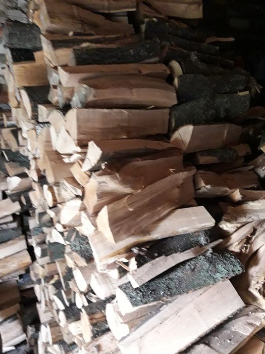 Продам дрова дубовые