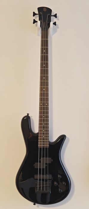 Gitara basowa Spector - piękna i mega brzmiąca!