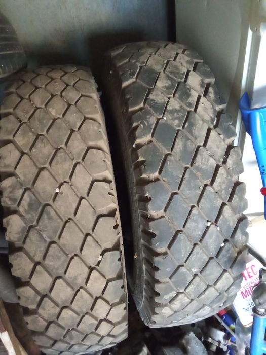 Продам резину краз 1 скат 1000 грн