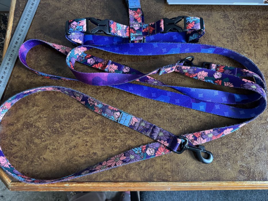 Шлея і повідець перестібка 3м